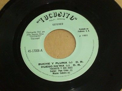 Buche Y Pluma