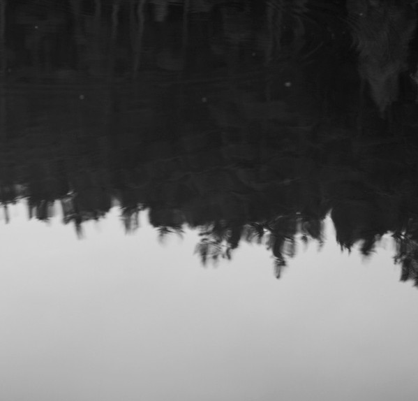 Wall