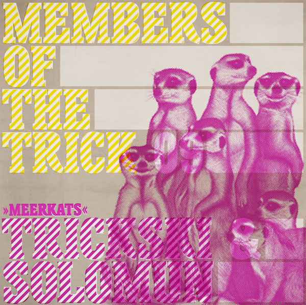 Meerkats