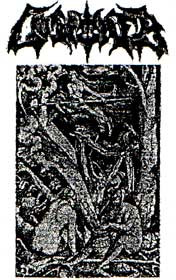 Lyderhorn