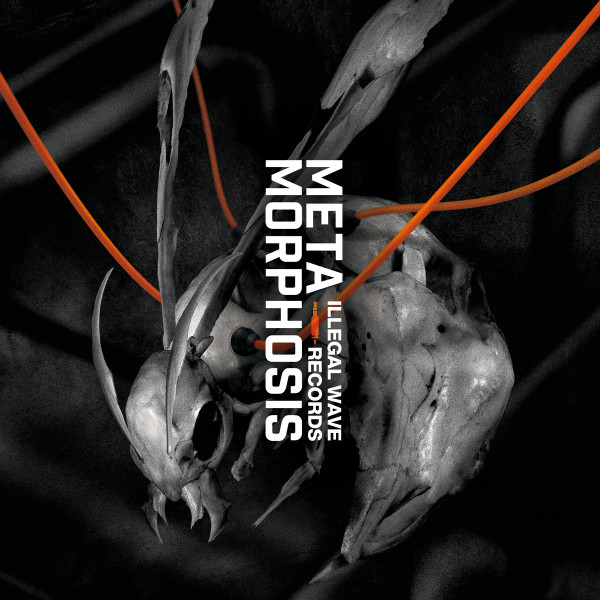 Metamorphosis