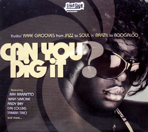 Can You Dig It? (Thrillin' Rare Grooves from Jazz to Soul 'n' Brazil to Boogaloo)