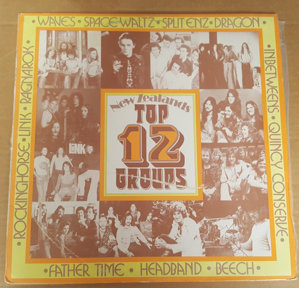 New Zealand's Top 12 Groups 