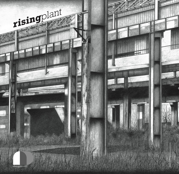 Rising Plant