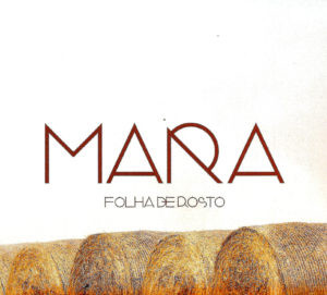 Folha De Rosto