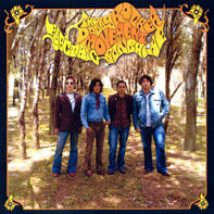 Electric Sunshine