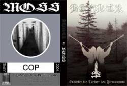 Bunkur Vs Moss