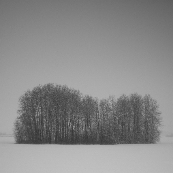 A Cold Place
