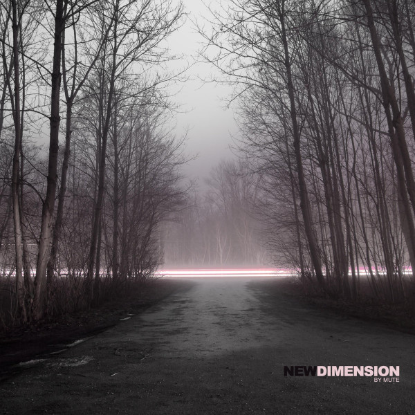 New Dimension