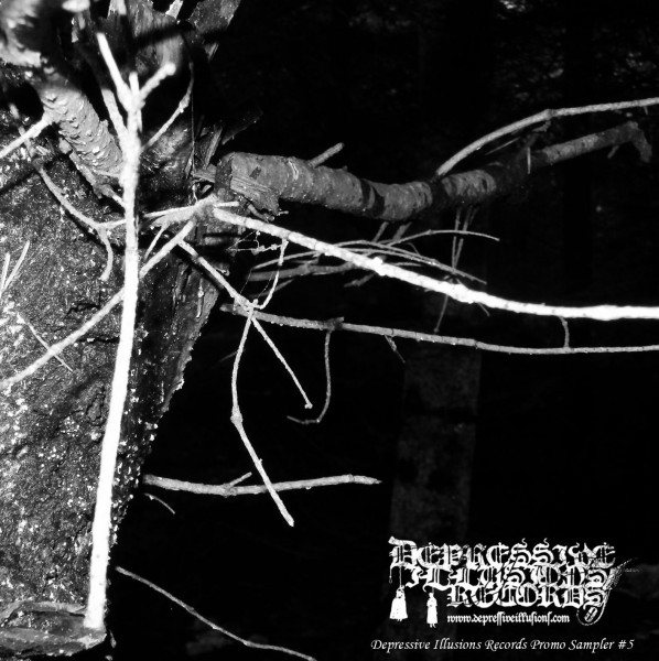 Depressive Illusions Records Promo Sampler #5