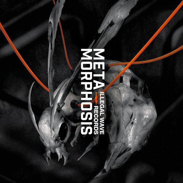 Metamorphosis