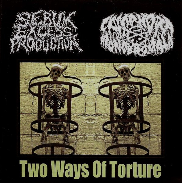 Two Ways Of Torture - Split Cdr