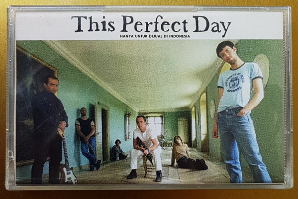 This Perfect Day
