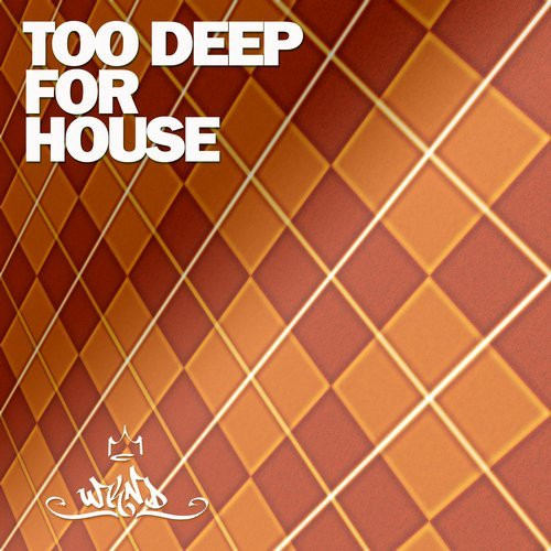 Too Deep For House, Vol.2