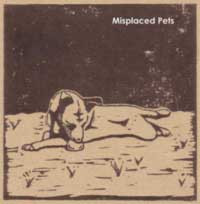 Misplaced Pets