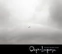 OrganLanguage Plays Outer Tone