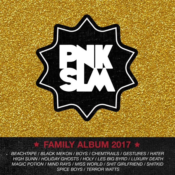PNKSLM Family Album 2017