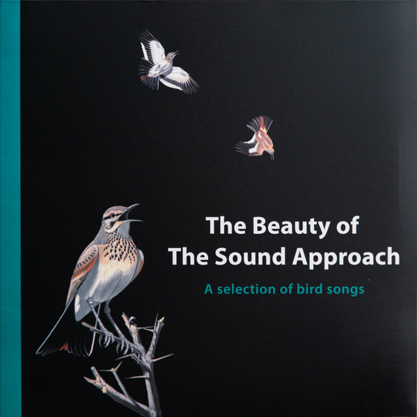 The Beauty Of The Sound Approach (A Selection Of Bird Songs)