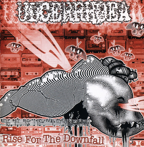Rise For The Downfall