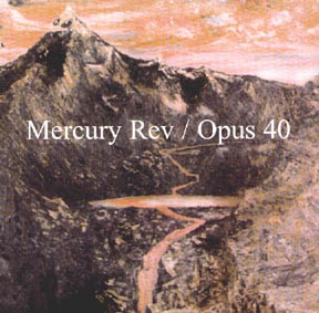 Opus 40