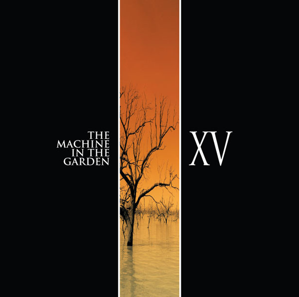 XV