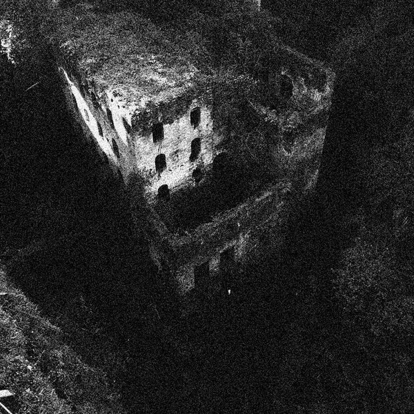 Black Ancient Vinyl 
