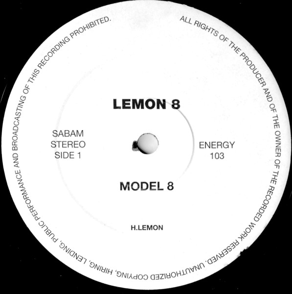 Model 8