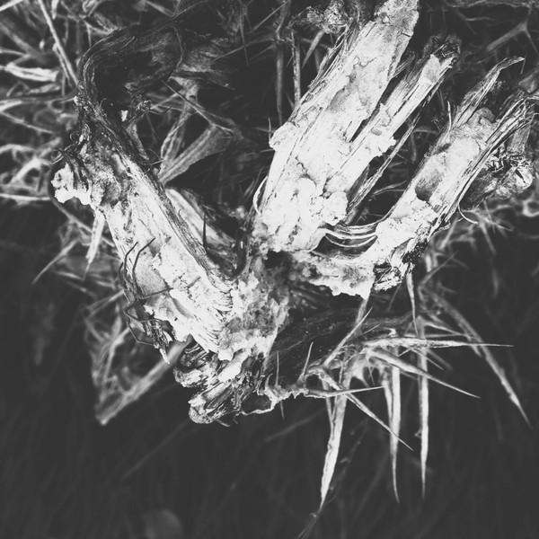 Music For Cosmic Nights