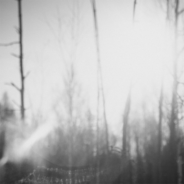 Winter Morning / Winter Night