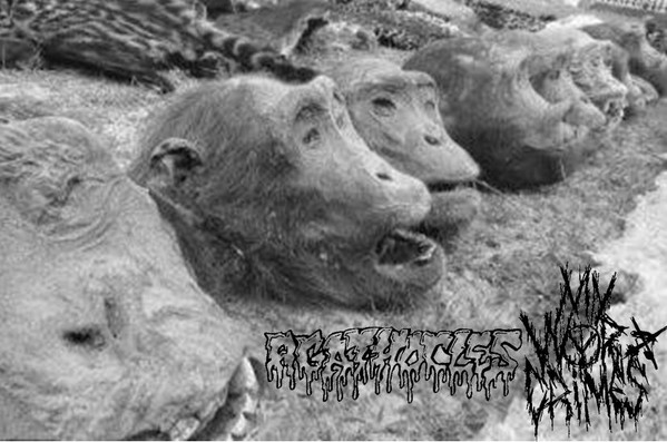 Agathocles / My War Crimes