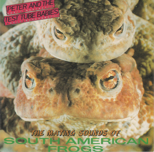 The Mating Sounds Of South American Frogs