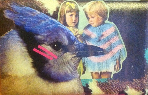 An Investigation Of Feathers And Flight