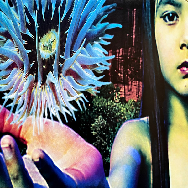 Lifeforms