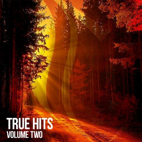 True Hits Volume Two