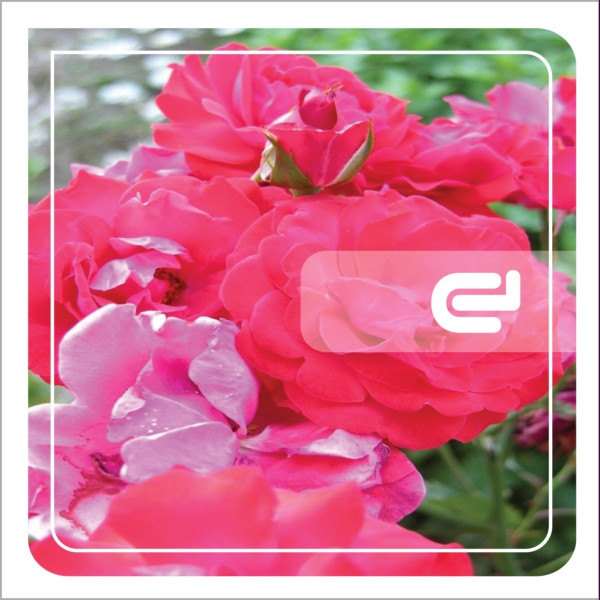 Hydrobios EP