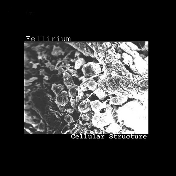 Cellular Structure