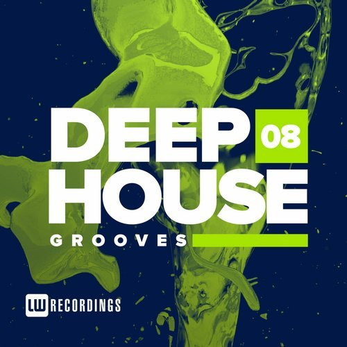 Deep House Grooves 08