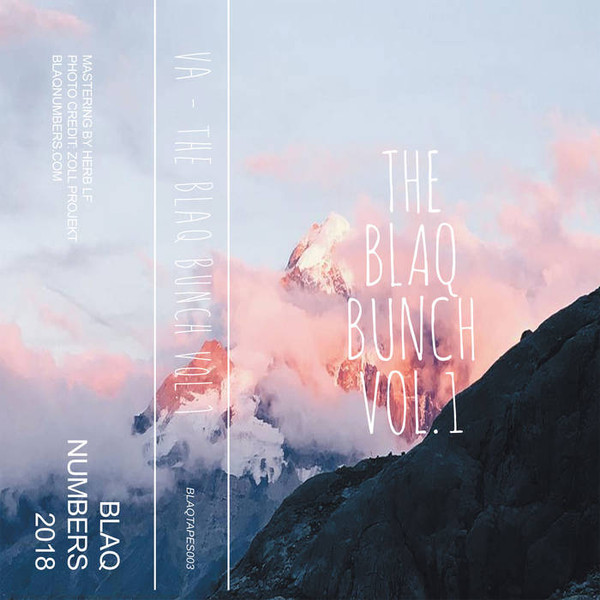 The Blaq Bunch Vol​.​1