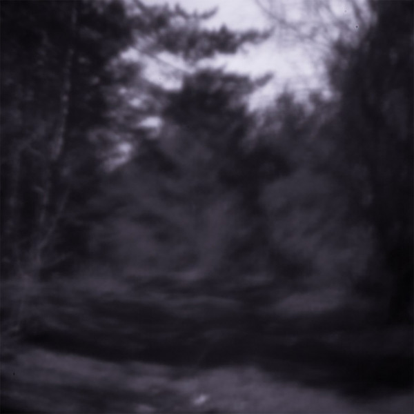Motion