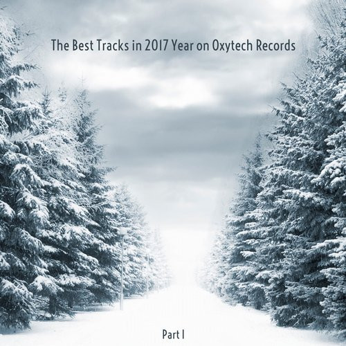 The Best Tracks In 2017 Year On Oxytech Records (Part I)