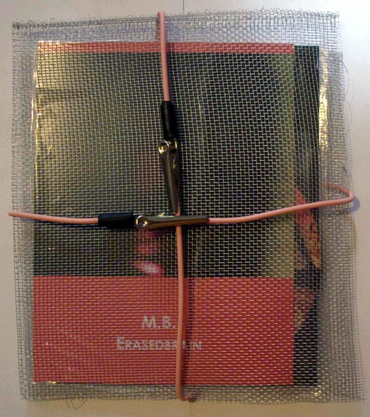 Erasedbrain