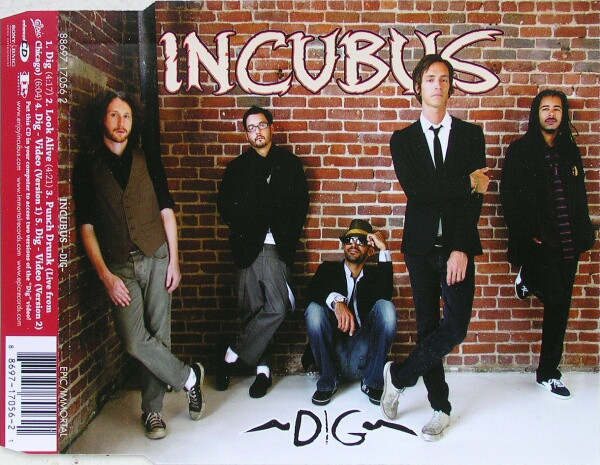 Dig
