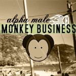 Monkey Business