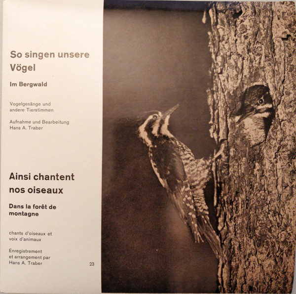 So Singen Unsere Vögel (Im Bergwald) = Ainsi Chantent Nos Oiseaux (Dans La Foret De Montagne)