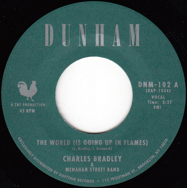 The World (Is Going Up In Flames)