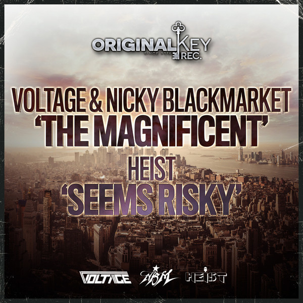 The Magnificent / Seems Risky