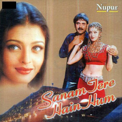 Sanam Tere Hain Hum