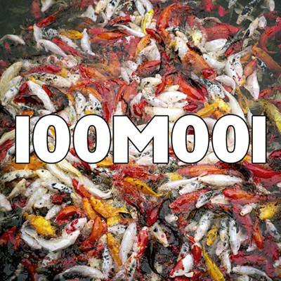 100m001