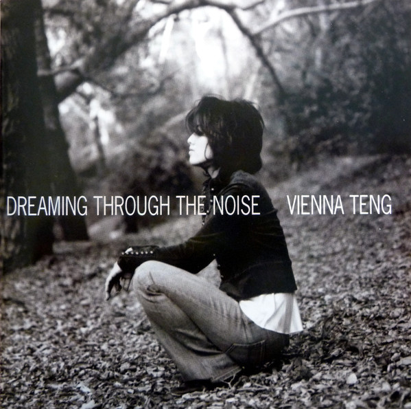 Dreaming Through The Noise