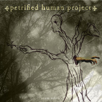 Petrified Human Project
